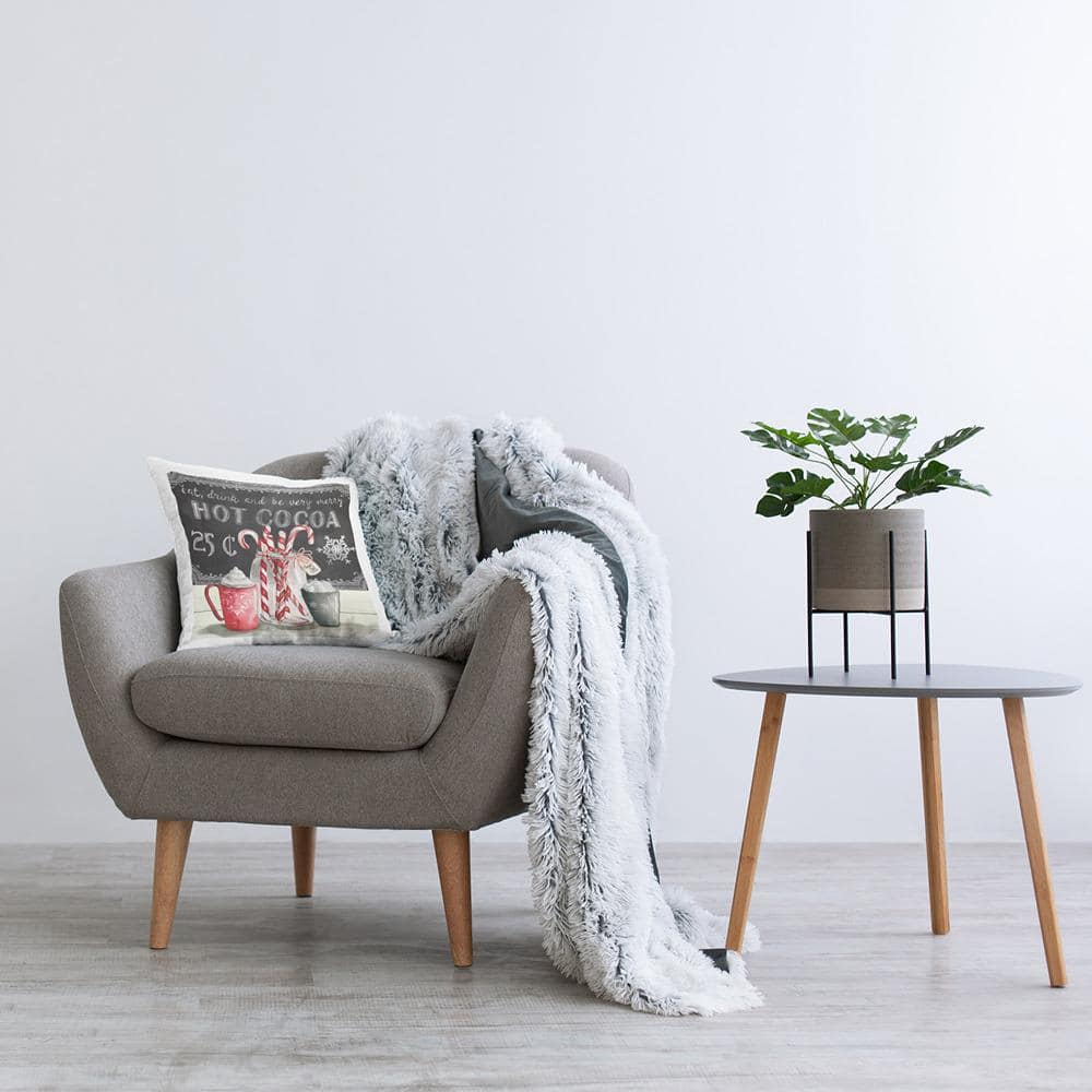 Winter Peppermint & Cocoa Square Decorative Throw Pillow Set