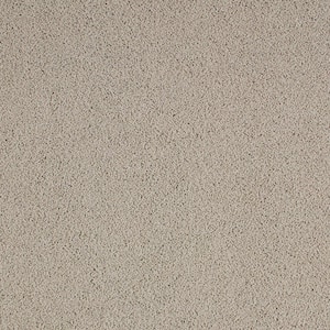 Cleoford Southwest Brown 47 oz. Triexta Texture Installed Carpet