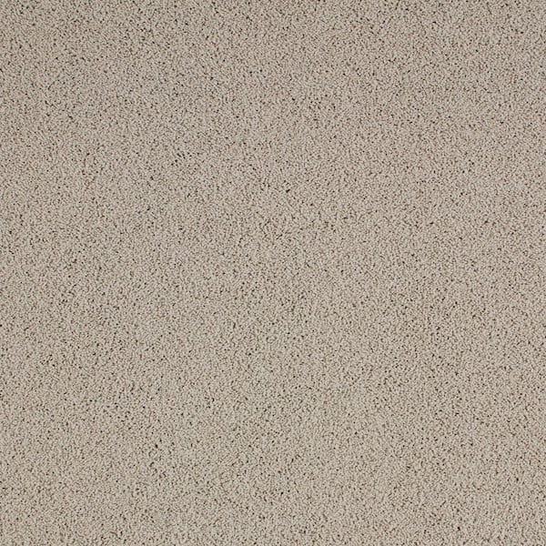 Lifeproof with Petproof Technology Cleoford Southwest Brown 47 oz. Triexta Texture Installed Carpet