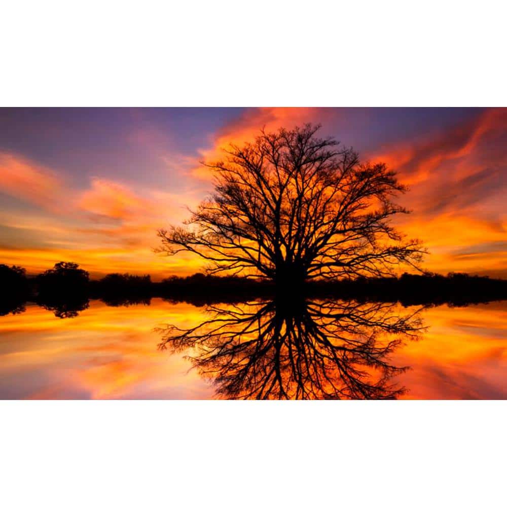 Large Multicolor Tempered Glass Landscape Wall Art