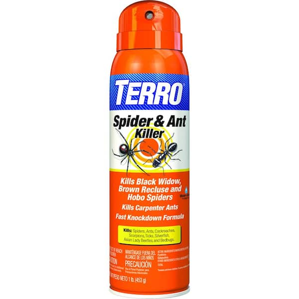 16 oz. Ready-to-Use Indoor/Outdoor Spider and Ant Killer Aerosol Spray-Insect Killer Spray