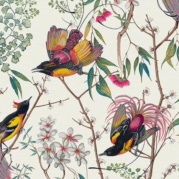Graham & Brown Clavering Birds Day White Wallpaper