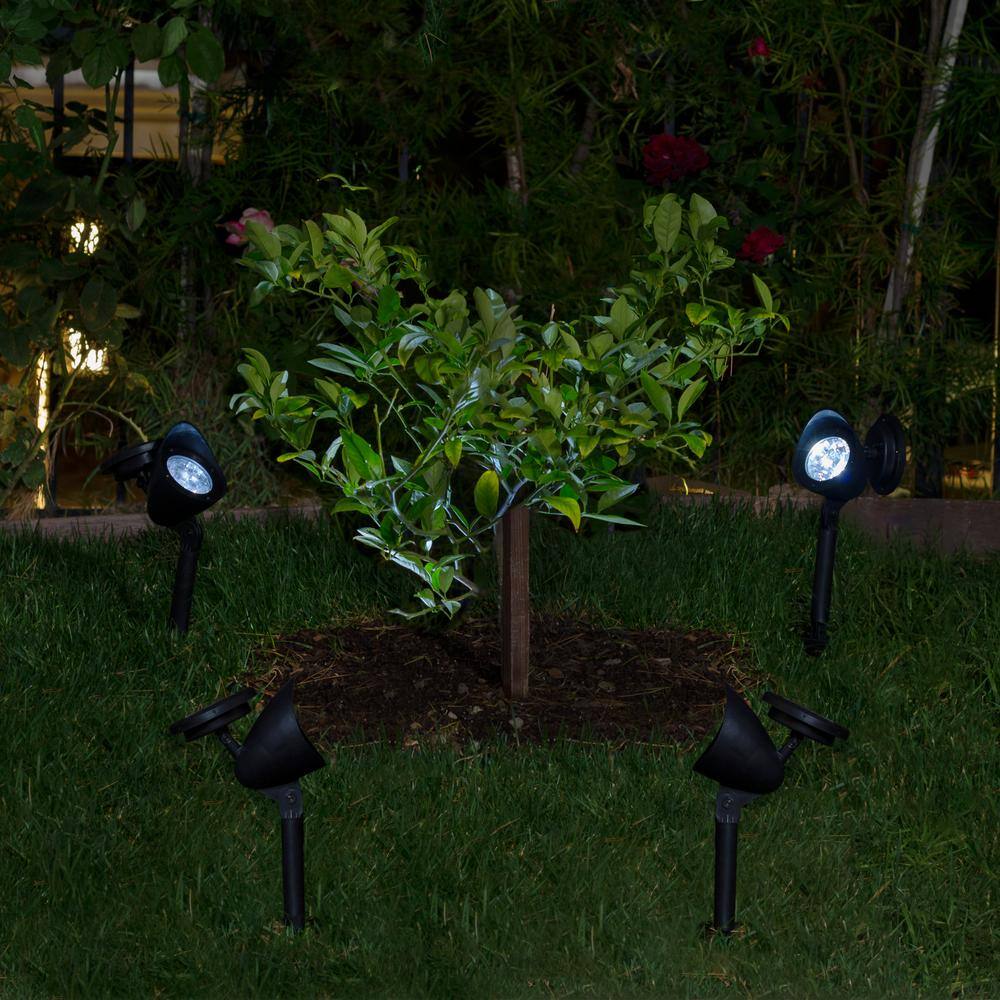 Black Solar Powered LED Pathway Light Set of 6