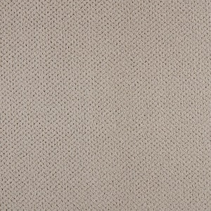 Pretty Penny  - Stonework - Gray 50 oz. Triexta Pattern Installed Carpet