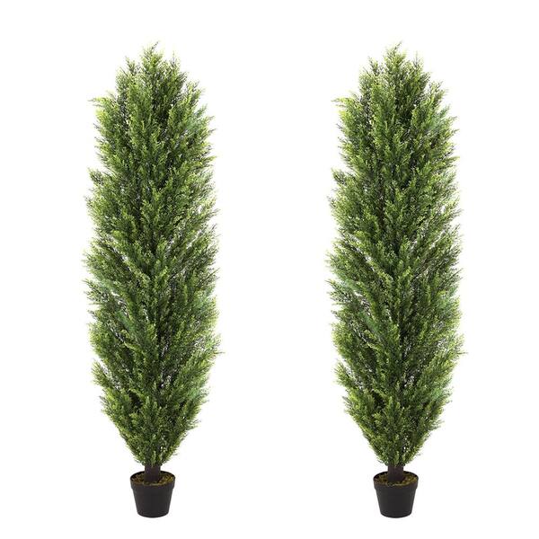 Tunearary Patio Entrance Artificial Foliage Faux Boxwood Pine Christmas Tree with Green Leaves (Set of 2)