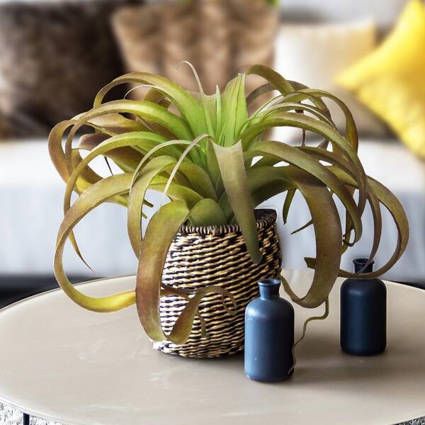 LIVING LUXURY 14 in. Giant Large Brown Tillandsia Artificial Succulent Stem  Plant Greenery Pick Spray Branch 83917-BR