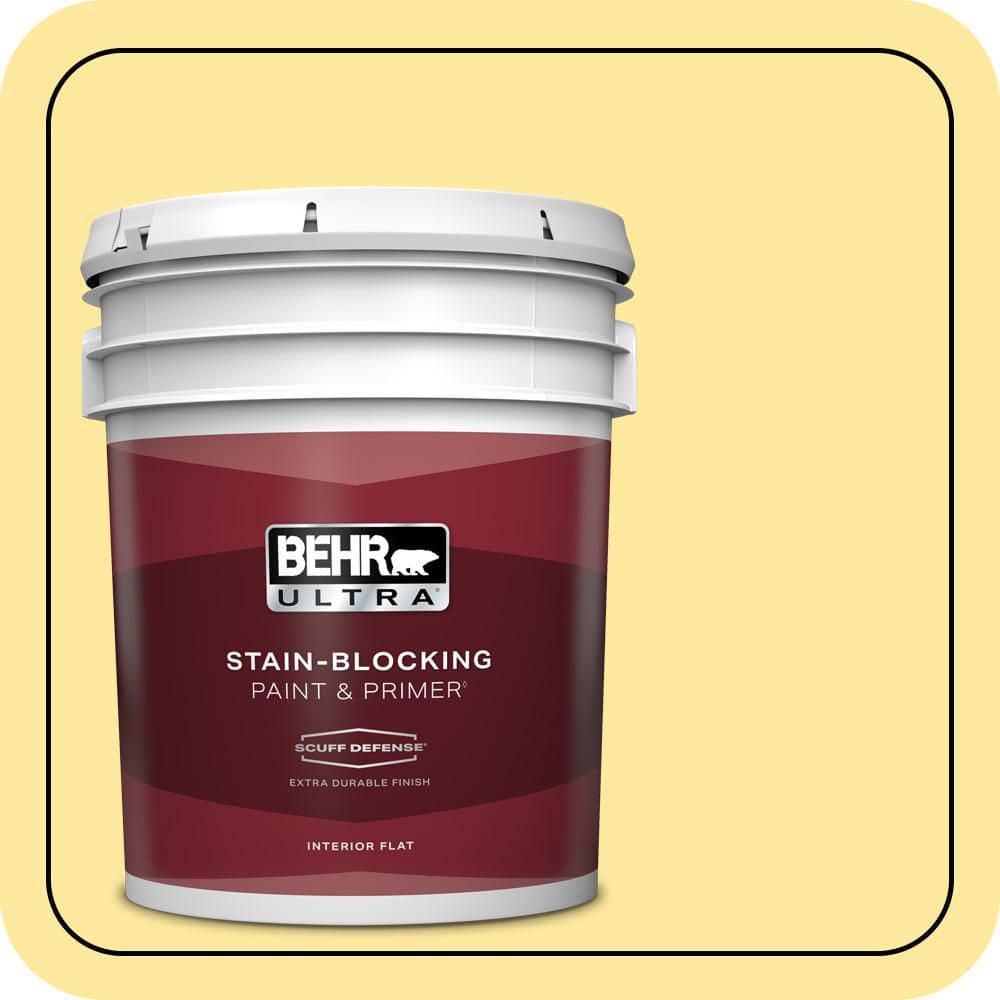 5 gal. #P300-4 Rise and Shine Extra Durable Flat Interior Paint & Primer price history on PriceWatchPro