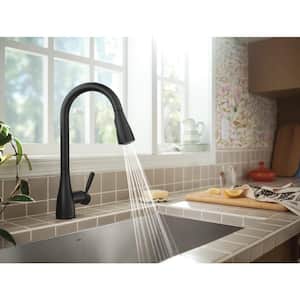 Doherty Single Handle Pull-Down Sprayer Kitchen Faucet with Power Clean and Reflex in Matte Black