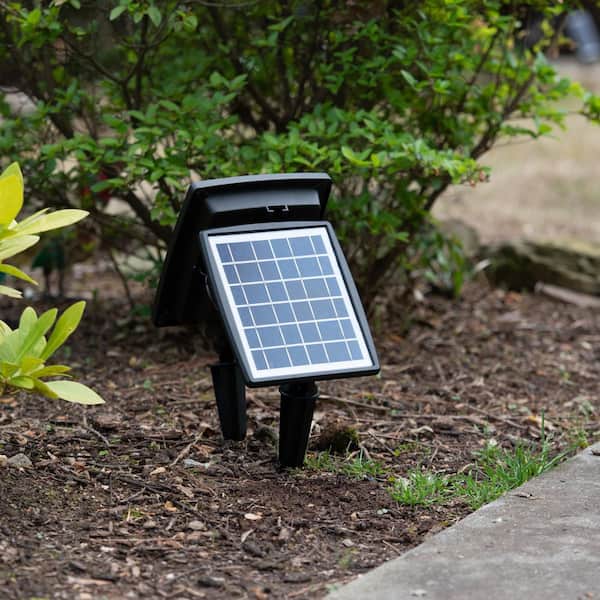 250 Lumens Black Solar Powered Dual Color Integrated LED Outdoor Landscape Flood Light (2-Pack)