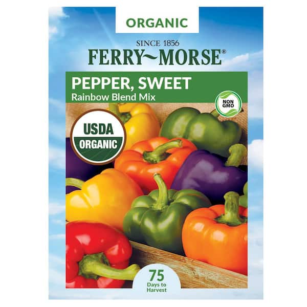 Organic Pepper Rainbow Blend Mix Fruit Seed