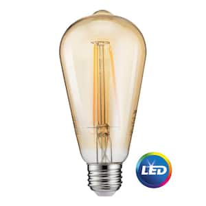 40-Watt Equivalent ST19 Dimmable LED Vintage Light Bulb Soft White