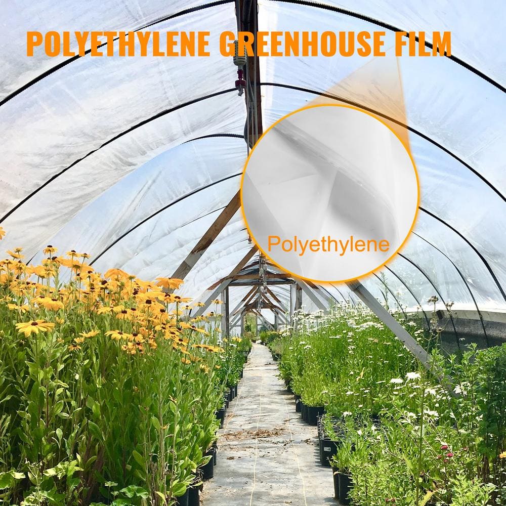 Clear 12' x 25' Polyethylene Greenhouse Film with UV Protection