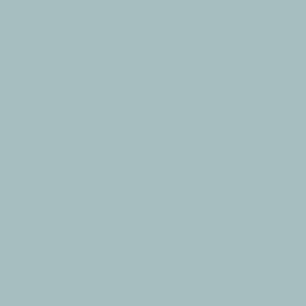 Pale Blue N° 435 PaonLin - Paints