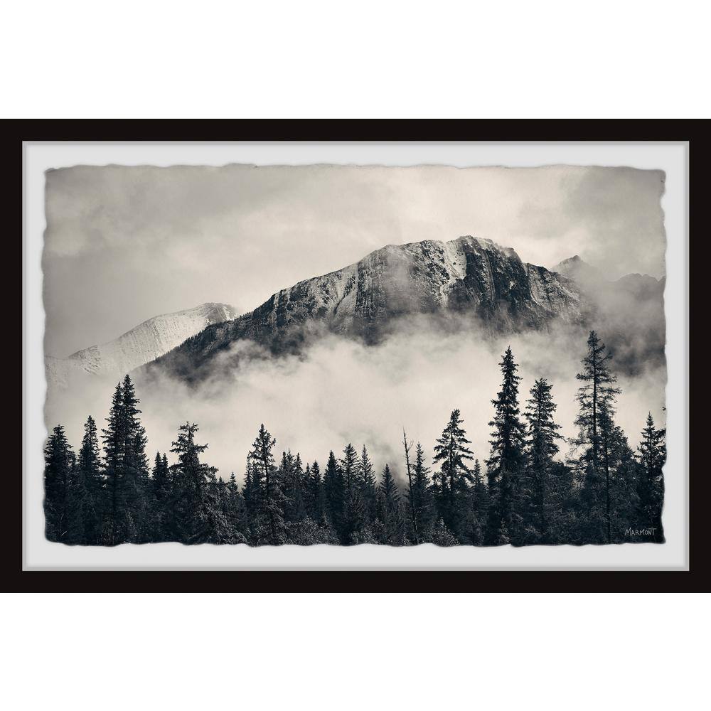 Rocky Mountain by Marmont Hill Framed Nature Art Print 20 in. x 30 in.