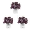 METROLINA GREENHOUSES 2.5 Qt. Proven Winners Heuchera Dolce Wildberry Perennial Plant (3-Pack) 4547