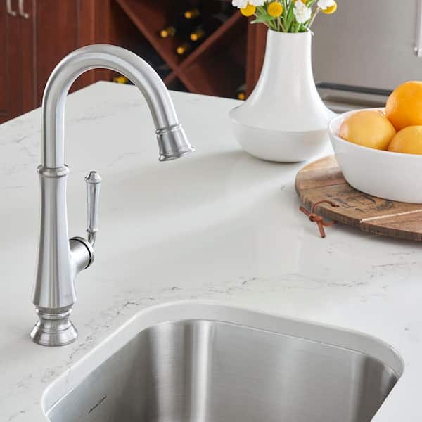Delancey Single-Handle Bar Faucet with Pull-Down Spray in Stainless Steel