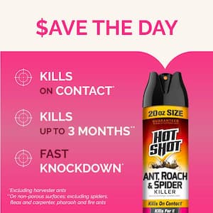 20 oz. Ant, Roach, and Spider Insect Killer Aerosol Spray Fresh Floral Scent