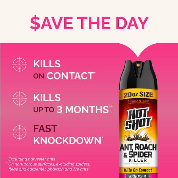 20 oz. Ant, Roach, and Spider Insect Killer Aerosol Spray Fresh Floral Scent