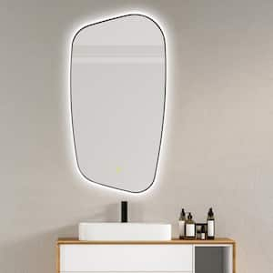 Florian 26 in. W x 48 in. H Rectangular Framed LED Wall Bathroom Vanity Mirror in Matt Black