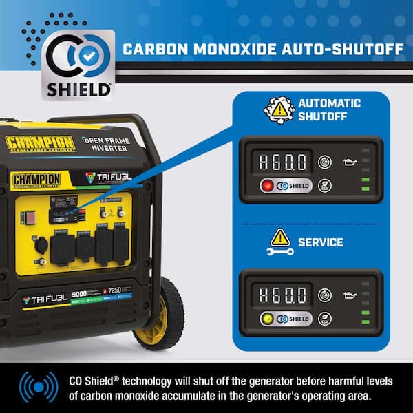 ピーター・ブラッティンガ／Genesis van een compositie Champion 201175 - 7000 Watt Electric Start Dual Fuel