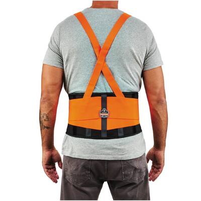 back support harness