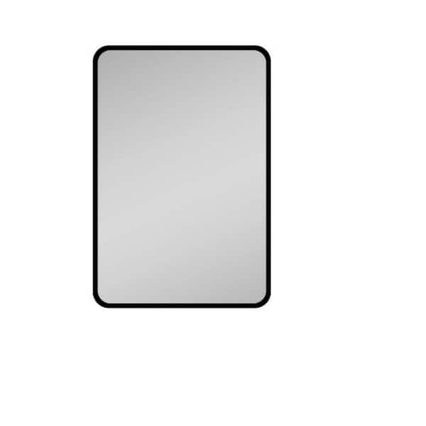 Aoibox 24 in. W x 30 in. H Rectangular Metal Medicine Cabinet with Mirror
