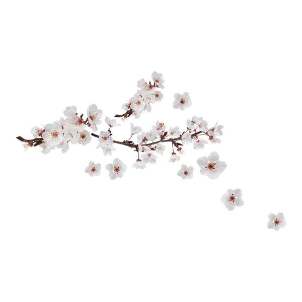 Brewster 19.7 in. x 12.2 in. Photographic Blossom Wall Decal