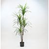 artificial-succulents-ypt01058-64.0