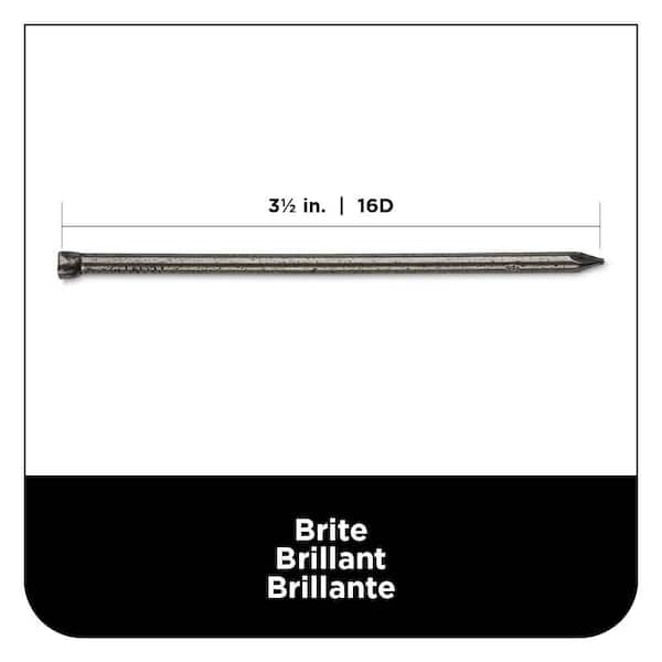 Pro-Fit 16D 3-1/2 in. Finish Hot-Dipped Galvanized Steel Nail Brad Head 1 lb