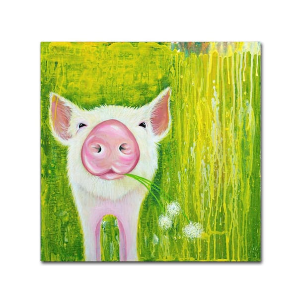 Trademark Fine Art 14 in. x 14 in. Pig by Michelle Faber Hidden Frame