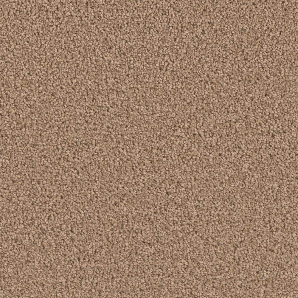 8 in. x  8 in. Texture Carpet Sample - Delicate Flower -Color Poppy price history on PriceWatchPro