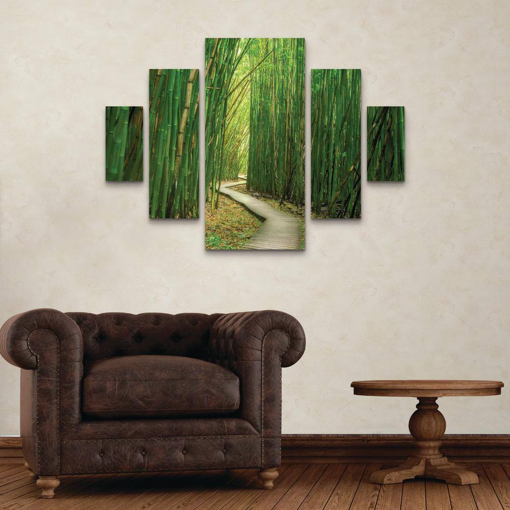 Dennis Frates Bamboo Path 5-Piece Green Canvas Wall Art Set