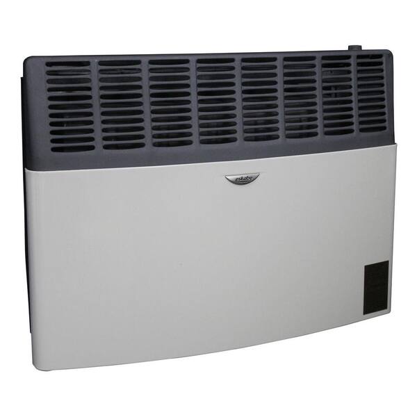 Ashley Hearth Products 17,000 BTU LP Gas Direct Vent Heater