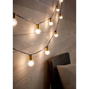 Outdoor/Indoor 12 ft. Plug-In Globe Bulb String Lights with 12 Incandescent G40 Bulbs