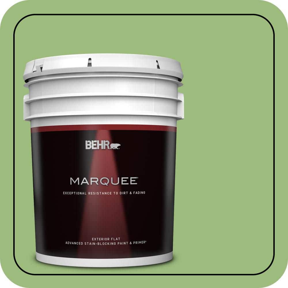 5 gal. #P380-5 Gleeful Flat Exterior Paint & Primer price history on PriceWatchPro