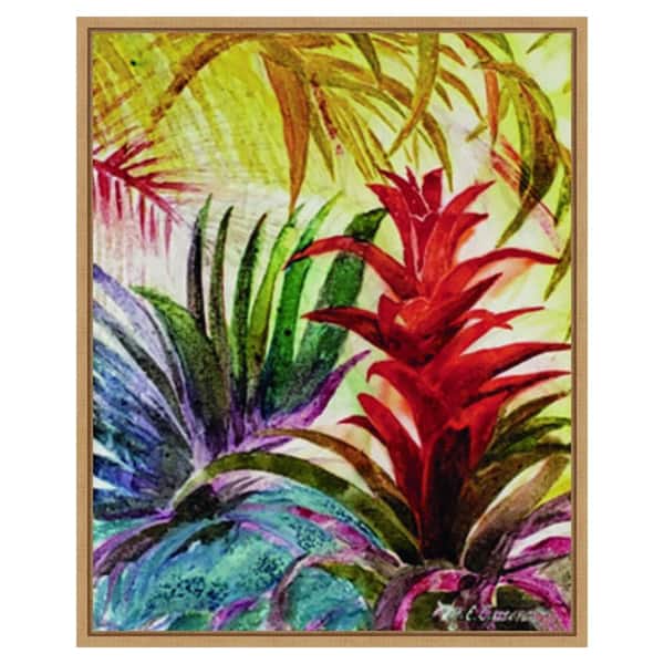 Amanti Art Tropic Botanicals VI by Marie Elaine Cusson 23 in. W x 28 in. H Canvas Float Frame in Brown