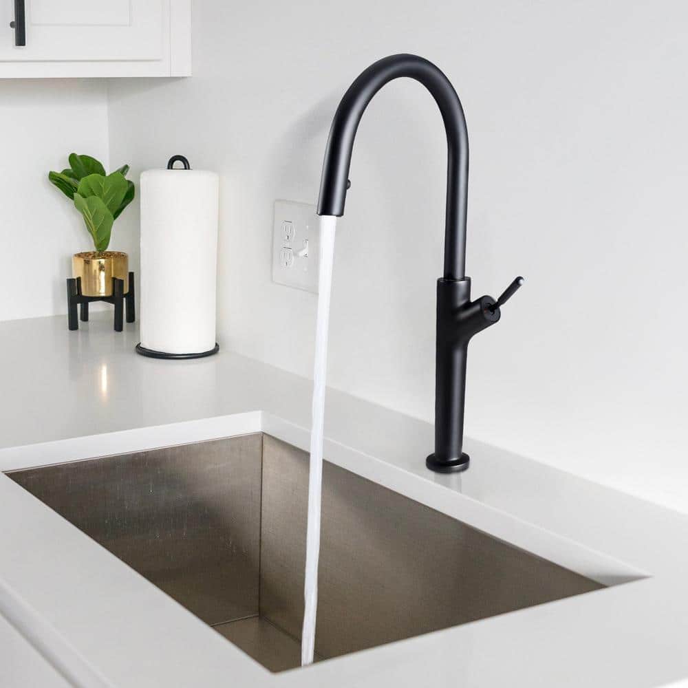 Matte Black Single Handle High Arc Kitchen Faucet with Pull-out Spray