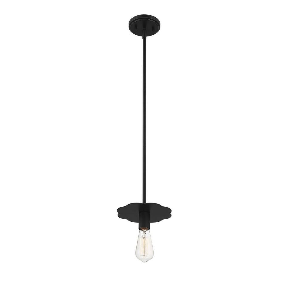 Matte Black Mini Pendant Light with Adjustable Height