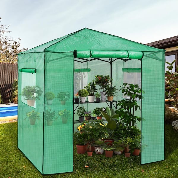 84 in. W x 84 in. D Pop Up Greenhouse Portable Walk-in Outdoor Gardening Green House