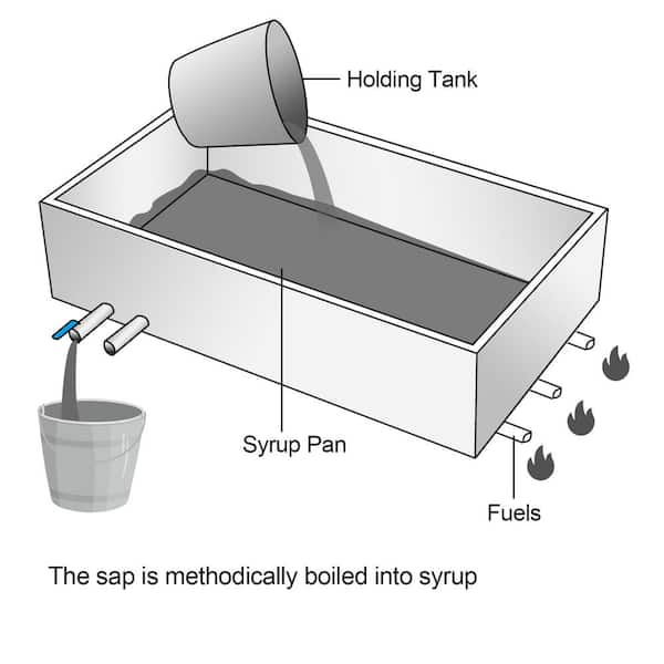 VEVOR 35.8 in. x 24 in. x 18.5 in. Stainless Steel Evaporator Sap Stove  with Divided Pan and Feed Pan for Boiling Maple Syrup ZFQ2X3GB000000001V0 -  The Home Depot