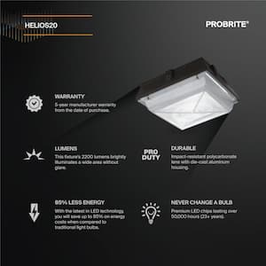 150-Watt Equivalent Integrated Outdoor LED Security Light, 2200 Lumens, Ceiling/Canopy Security Lighting (2-Pack)