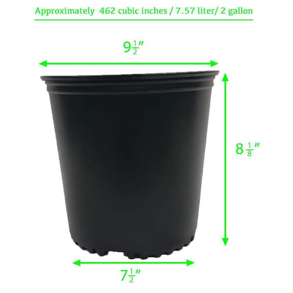 self watering plant Cat Self Watering Plant Pet main image 0