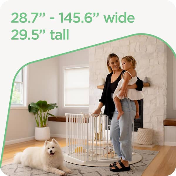 CANDEL PREMIER BARRIER FIX 58g 5箱セット CANDEL PREMIER BARRIER