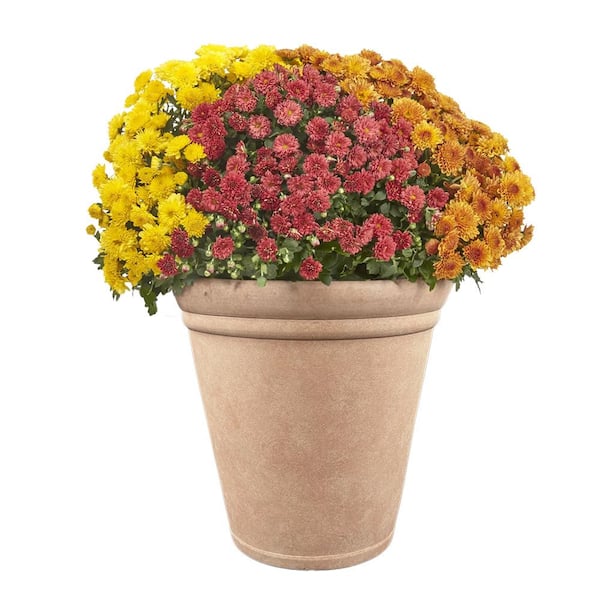 Evie Large White-Washed Terracotta Resin Lightweight Round Planter w/ Optional Drainage Holes(16 in.L x16 in.W x16 in.H)