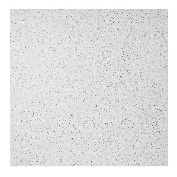 Genesis 2 ft. x 2 ft. Printed Pro Lay-In Ceiling Tile