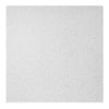 GENESIS 23.75in. x 23.75in. Printed Pro Lay In Vinyl White Ceiling Tile ...