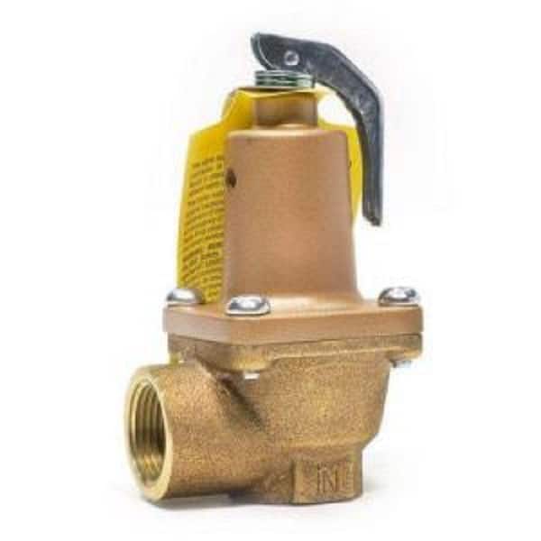 Watts 3/4 in. Relief Valve