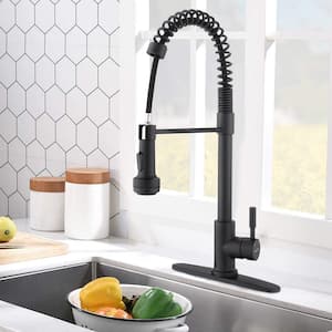 Pome Single-Handle Single Lever Pull Down Sprayer Spring Kitchen Sink Faucet in Matte Black