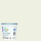 Polyblend #381 Bright White 1 lb. Non-Sanded Grout