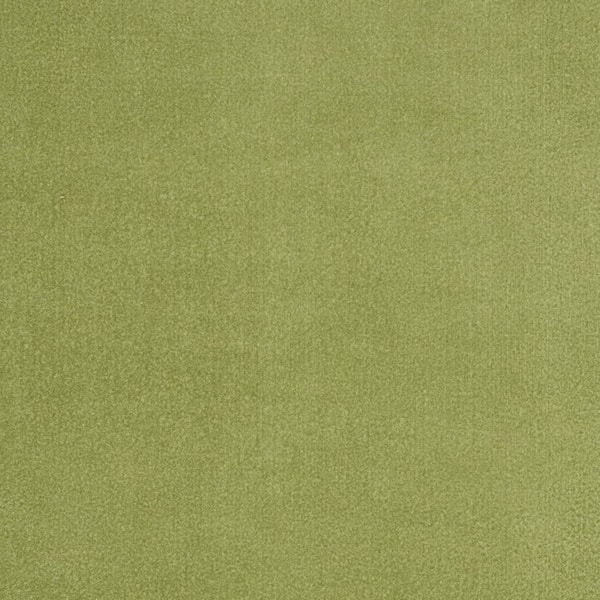 Green 4 ft. x 6 ft. Woven Polypropylene Indoor/Outdoor Area Rug